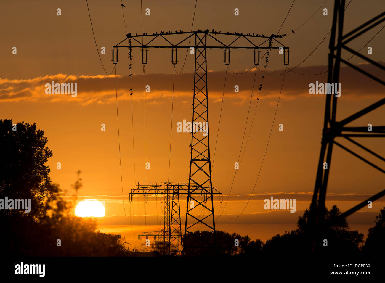 Lignes à haute tension dans la lumière du soir au canal Havel près de Potsdam-Paaren, Havelland, Brandebourg Banque D'Images