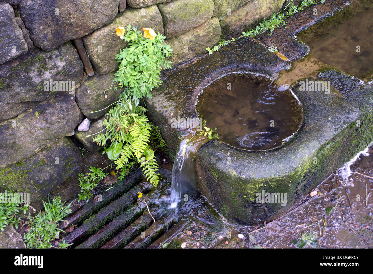 À une extrémité du bassin de l'auge de pierre sur la route, Mankinholes, Yorkshire, UK. Banque D'Images