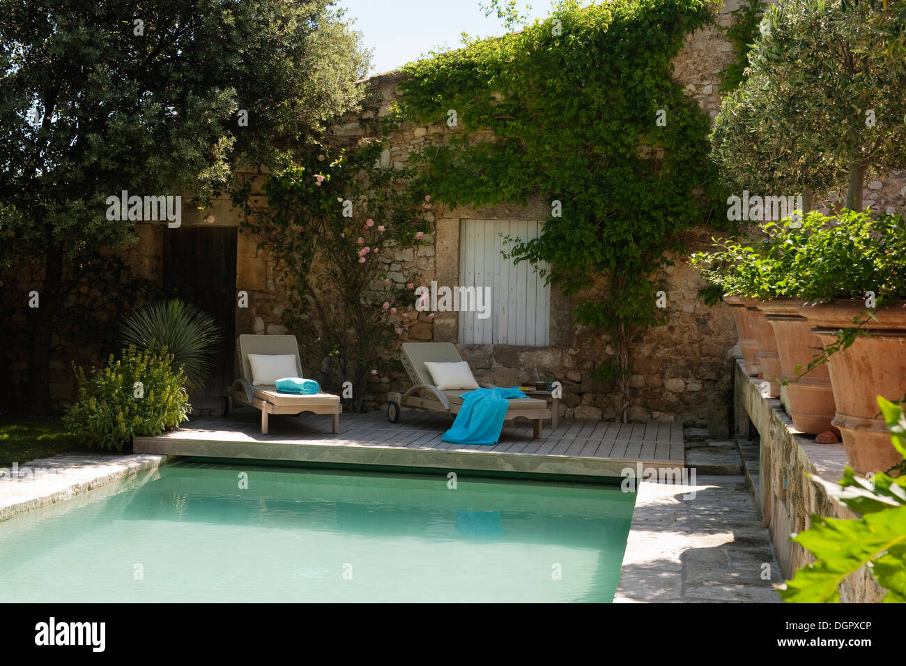 Piscine extérieure avec terrasse en bois et d'oliviers en pot. Banque D'Images