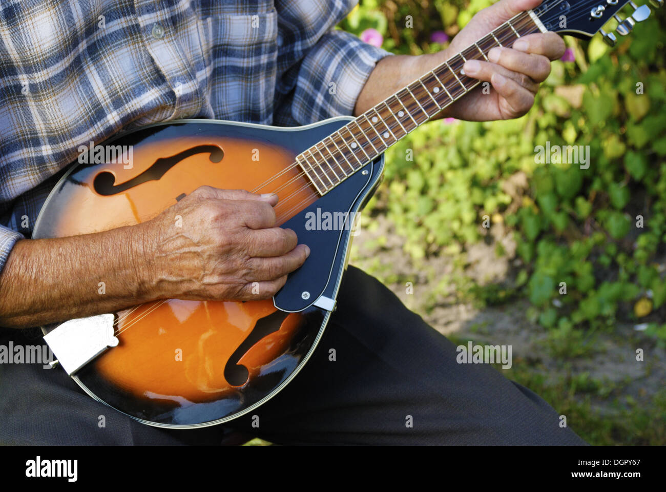 Homme jouant de la mandoline Banque de photographies et d'images à haute  résolution - Alamy