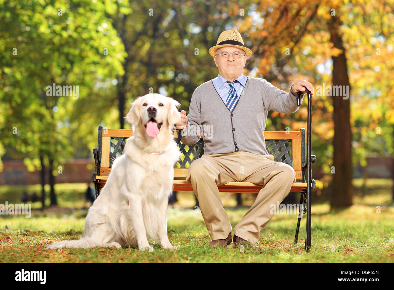 La haute confiance assis sur un banc avec son labrador retriever dog, dans un parc Banque D'Images