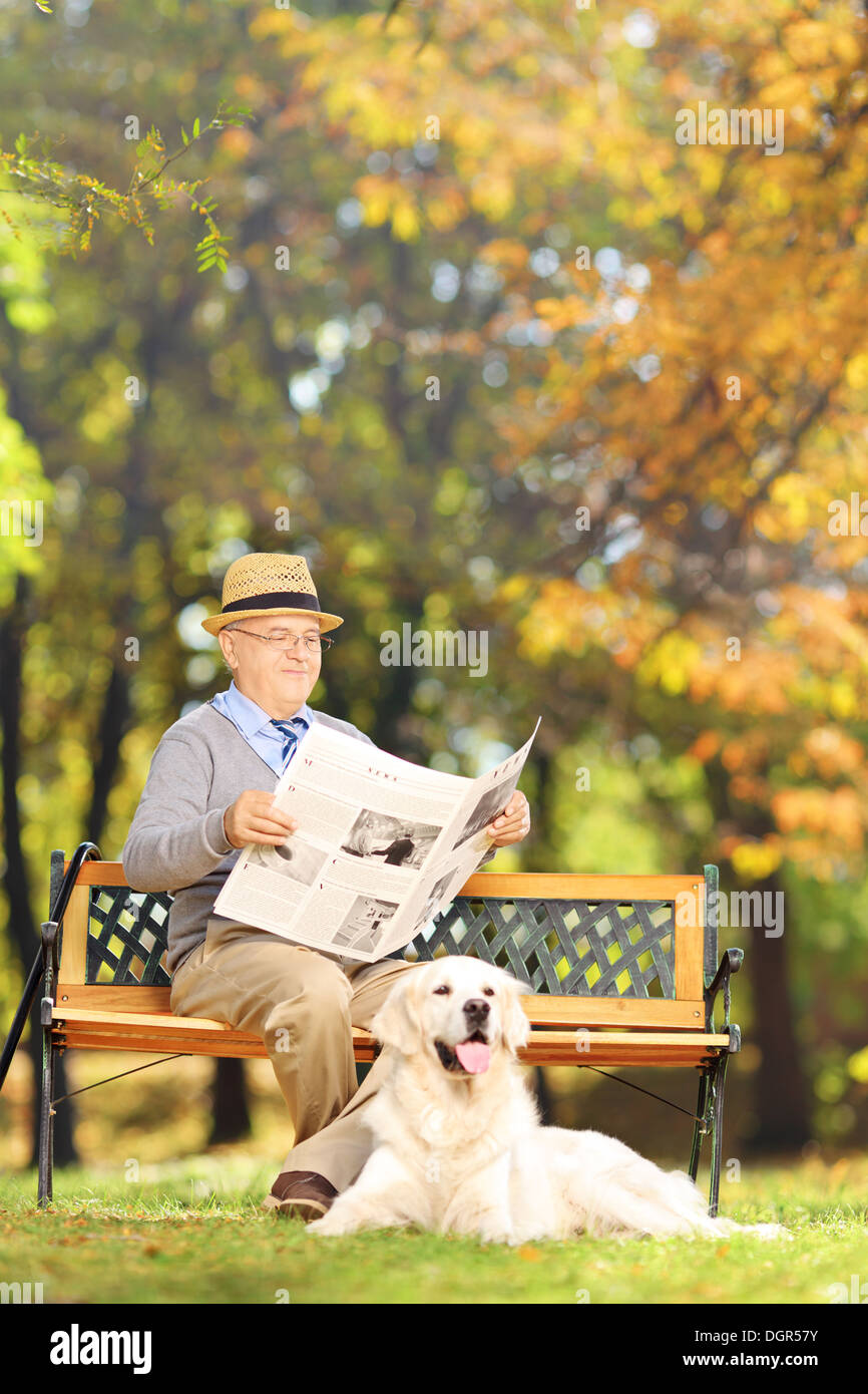 Hauts homme assis sur un banc, lisant un journal avec son labrador retriever, dans un parc Banque D'Images