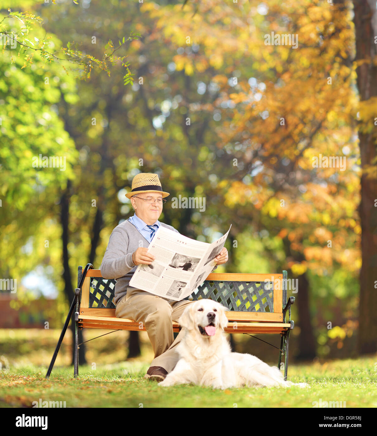 Hauts homme assis sur un banc en bois, lire un journal avec son chien dans un parc Banque D'Images