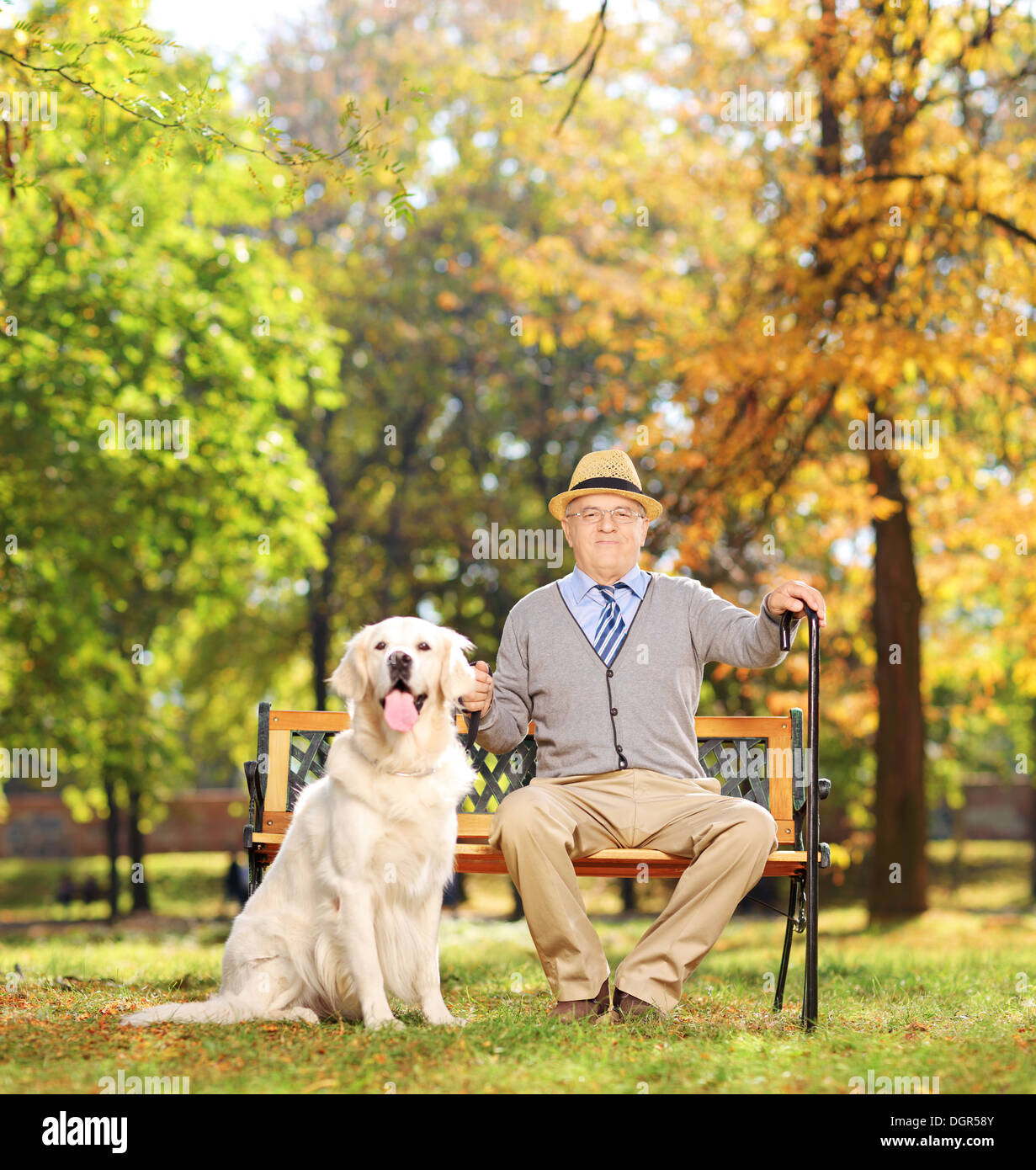 Hauts homme assis sur un banc en bois avec son labrador retriever, dans un parc Banque D'Images