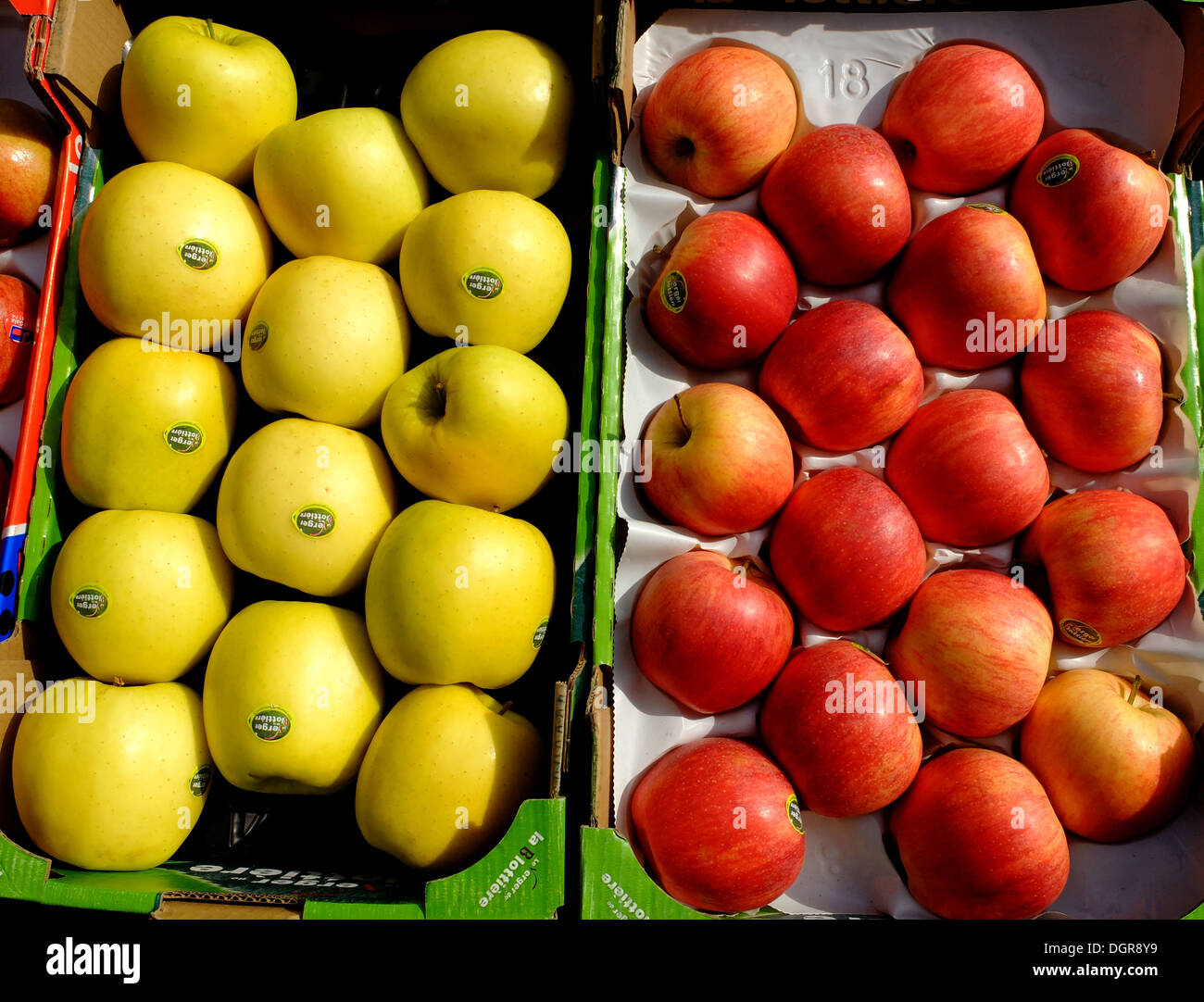Jardiniers rue Mouffetard,Paris,France Banque D'Images