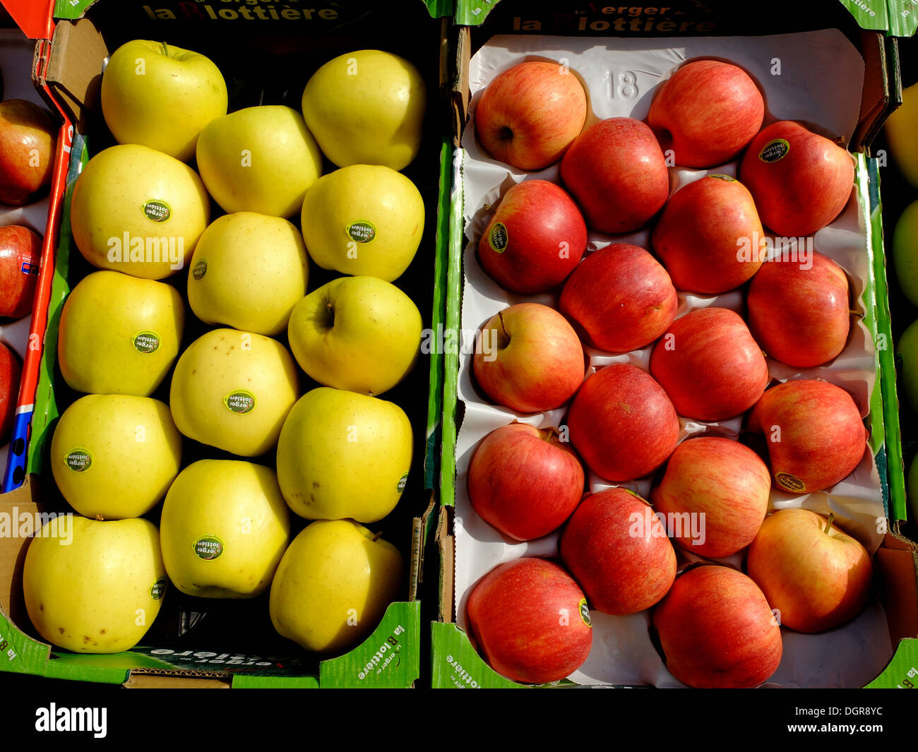 Apple,jardiniers rue Mouffetard,Paris,France Banque D'Images