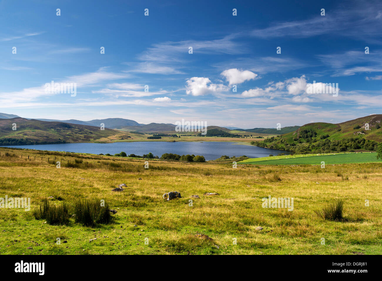 Dans les prairies du nord du Great Glen avec Loch Ruthven, North West Highlands, Ecosse, Royaume-Uni, Europe Banque D'Images