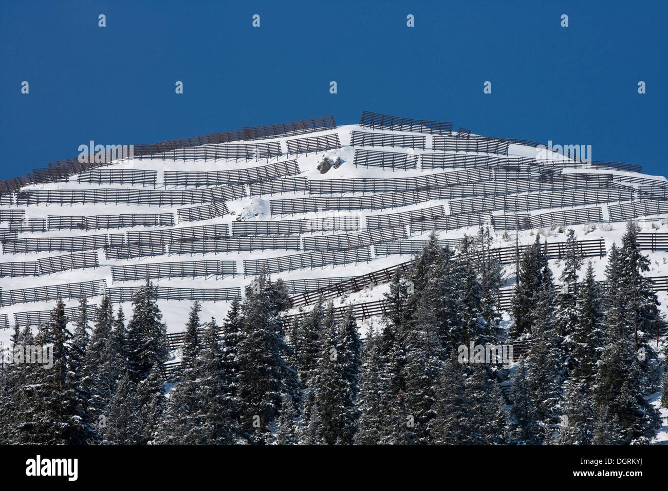 Barrières en bois, de la protection contre les avalanches de neige et les congères, Autriche, Europe Banque D'Images