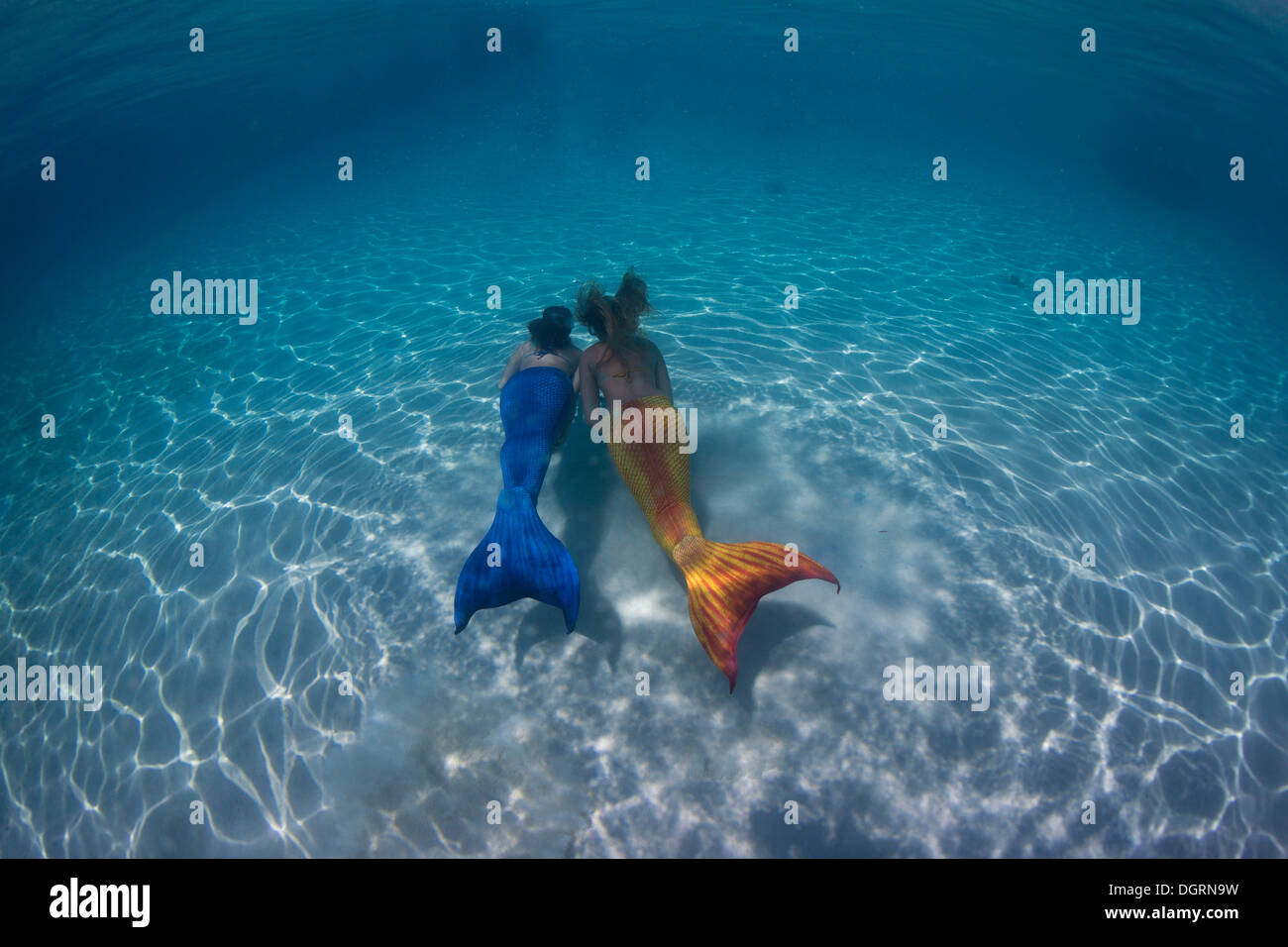 Les sirènes, les filles portant des costumes mermaid nager dans l'eau peu profonde d'une lagune, sous-marin, Busuanga, Philippines Banque D'Images