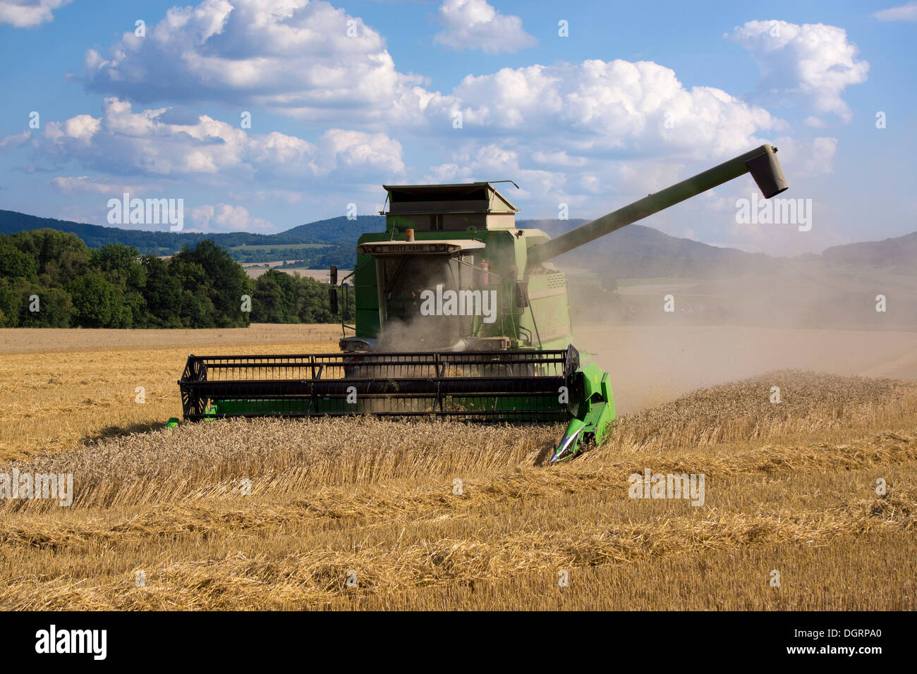 Moissonneuse batteuse travaillant dans un champ de blé, Buttlar Buttlar, Thuringe, Allemagne Banque D'Images
