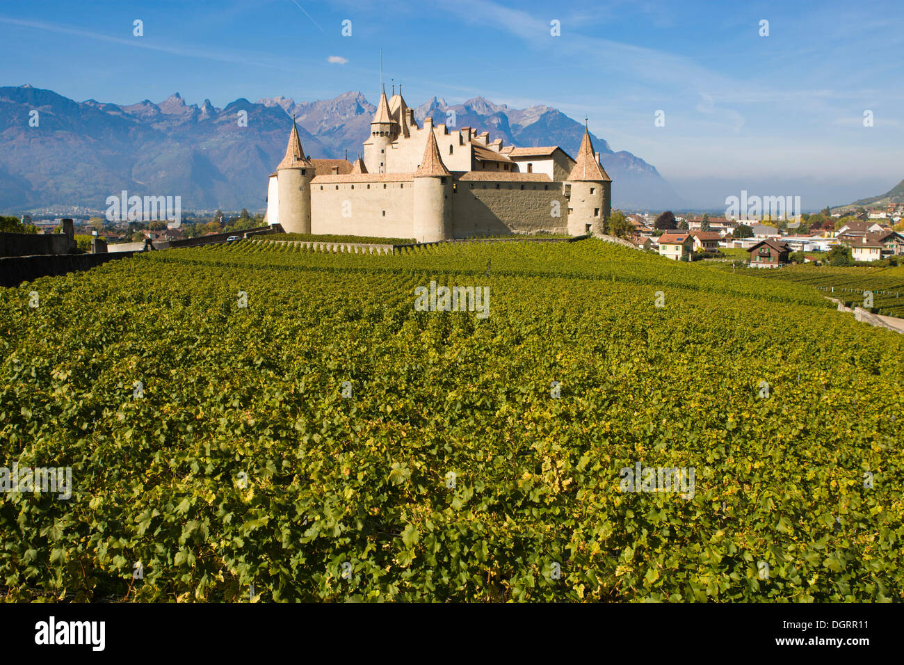 Chateau d'Aigle dans les vignobles de Lausanne, Canton de Vaud, Suisse, Europe Banque D'Images