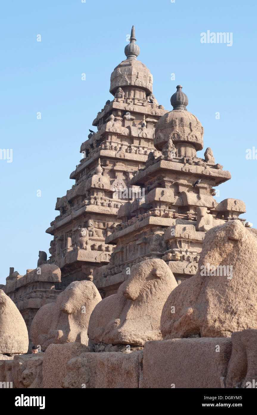 Shore Temple de Mahabalipuram, Mamallapuram, Mahabalipuram, Tamil Nadu, Inde Banque D'Images