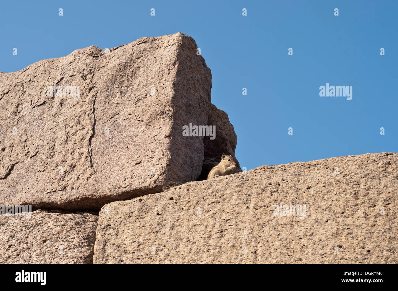 Les blocs en pierre, Shore Temple de Mahabalipuram, Mamallapuram, Mahabalipuram, Tamil Nadu, Inde Banque D'Images
