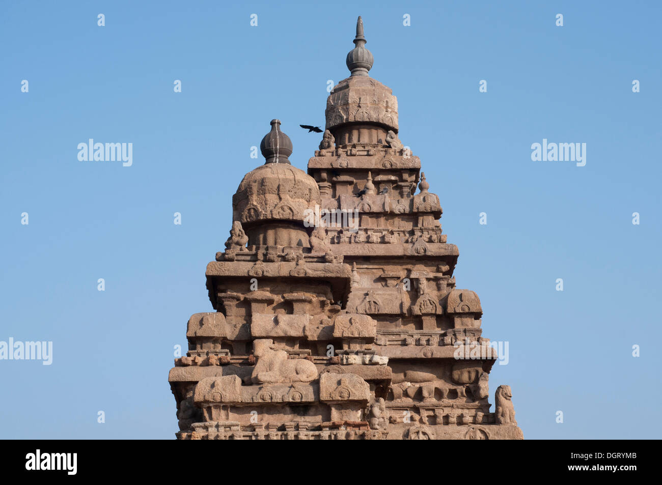 Shore Temple de Mahabalipuram, Mamallapuram, Mahabalipuram, Tamil Nadu, Inde Banque D'Images