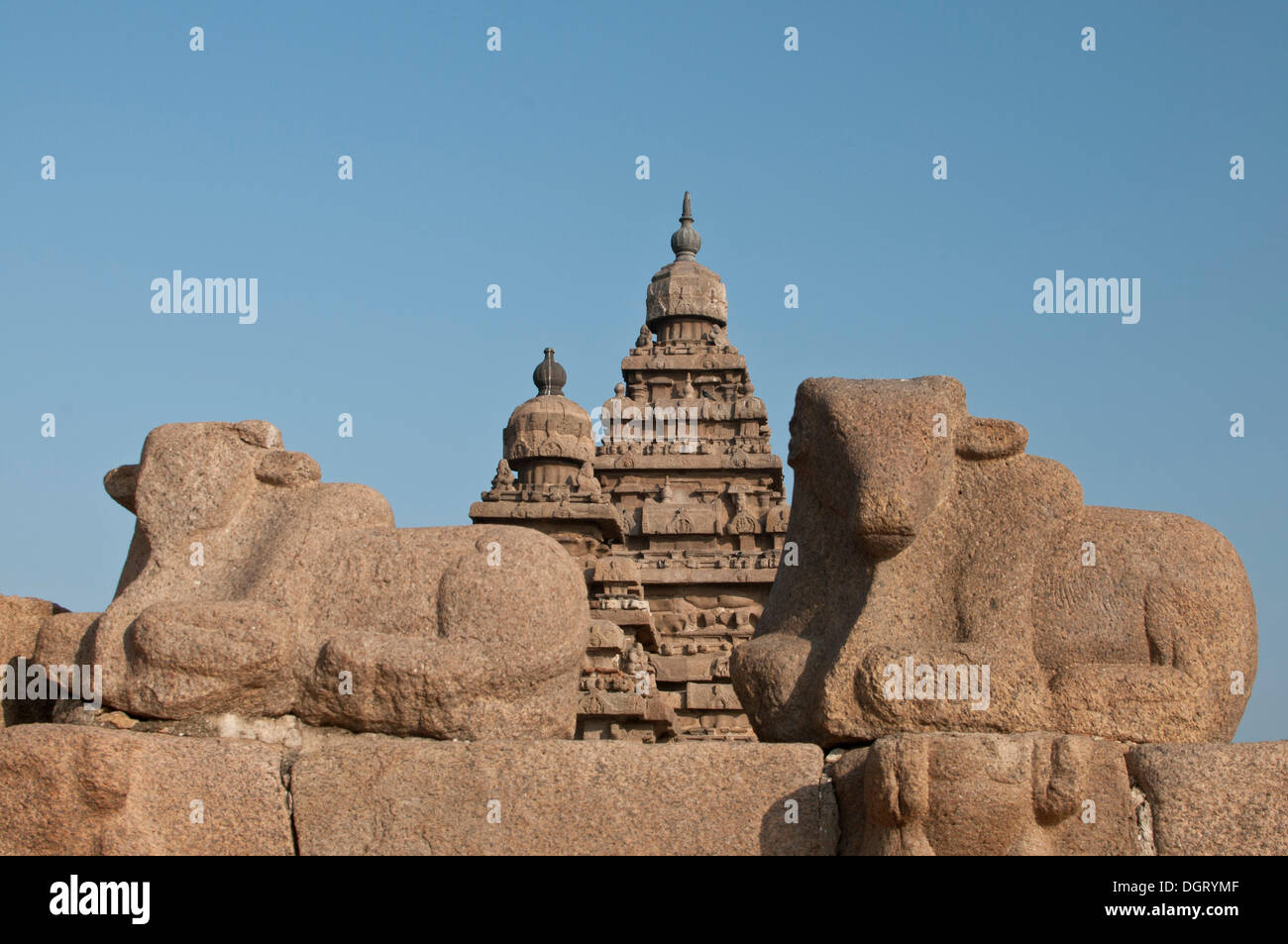 Shore Temple de Mahabalipuram, Mamallapuram, Mahabalipuram, Tamil Nadu, Inde Banque D'Images