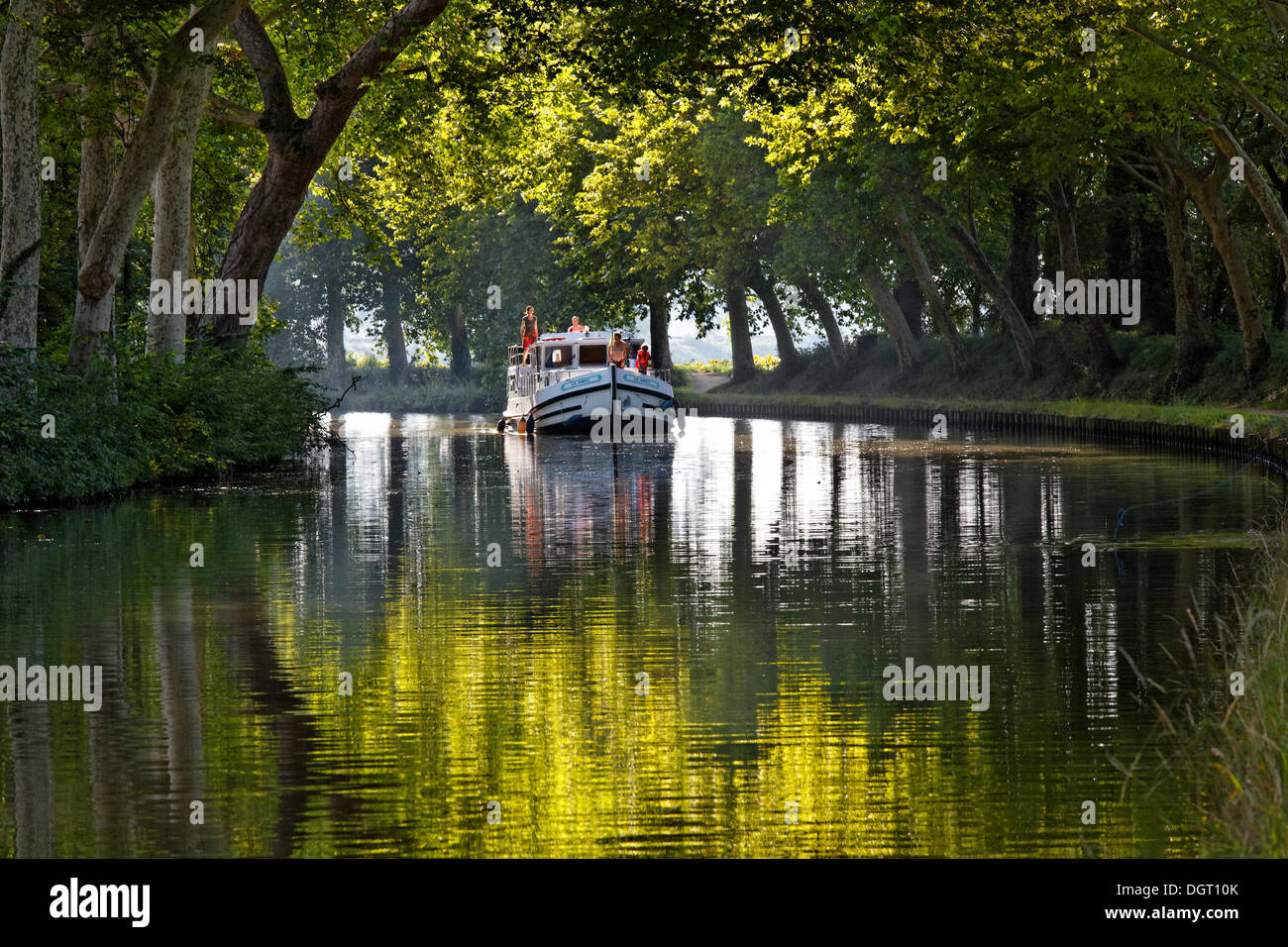 Canal du Midi canal entre Argens-Minervois et Negra, près de l'écluse de l'océan, Pt 51, 6, Seyre, Carcassonne Banque D'Images