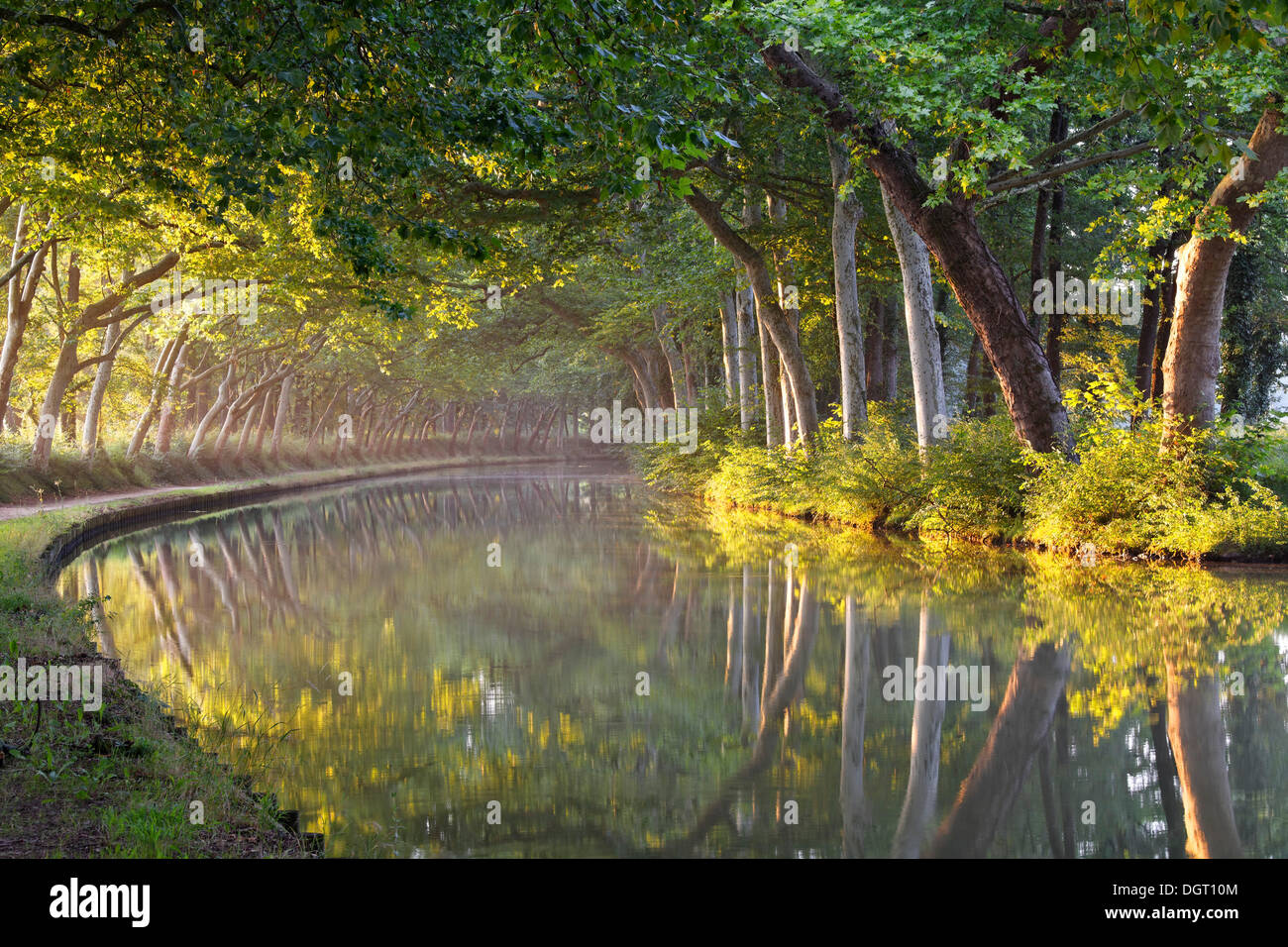 Canal du Midi canal entre Argens-Minervois et Negra, près de l'écluse de l'océan, Pt 51, 6, Seyre, Carcassonne Banque D'Images