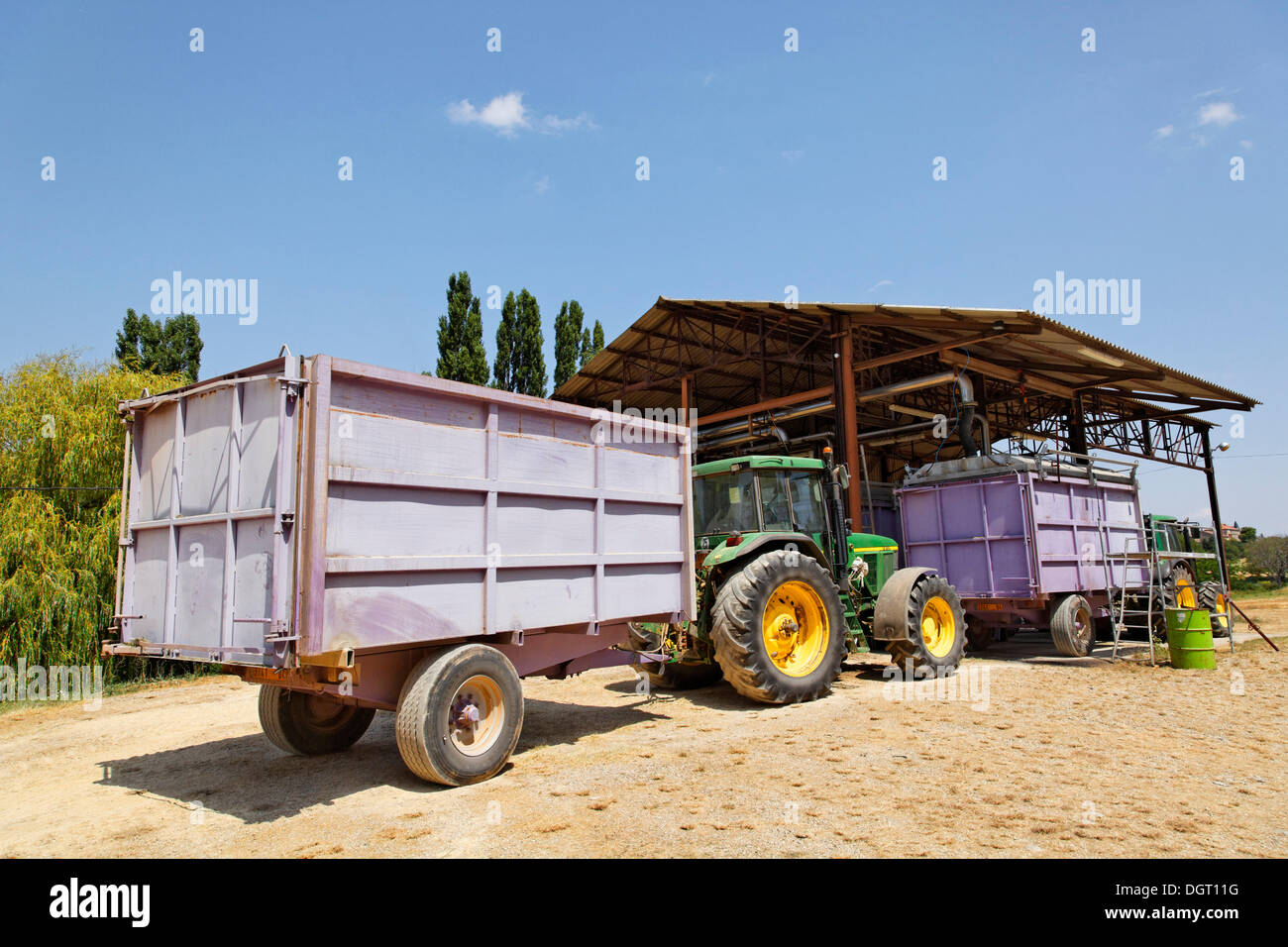 Distillation à la vapeur d'eau de lavande, une installation moderne de la coopérative de Valensole, Valensole, Provence, Département Banque D'Images