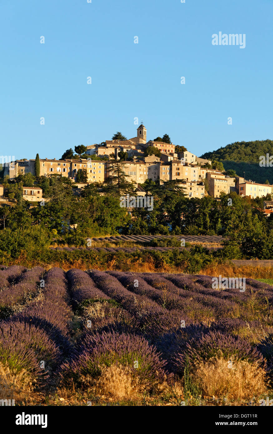 Village de montagne de Banon avec champs de lavande, Forcalquier, Provence, département Alpes-de-Haute-Provence, France Banque D'Images