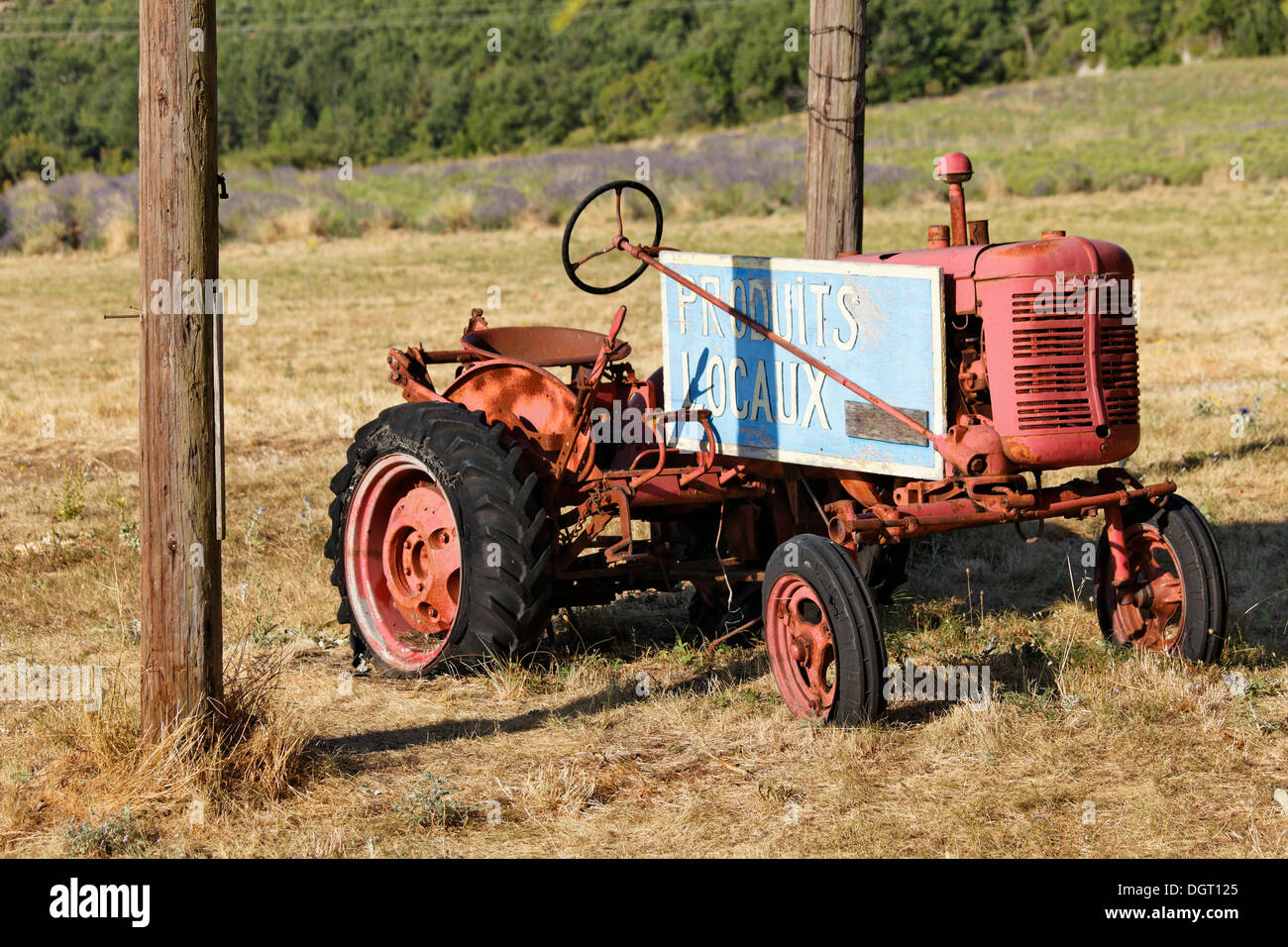 Le tracteur d'un agriculteur de la lavande, Sault, Apt, Provence, Vaucluse, France, Europe Banque D'Images