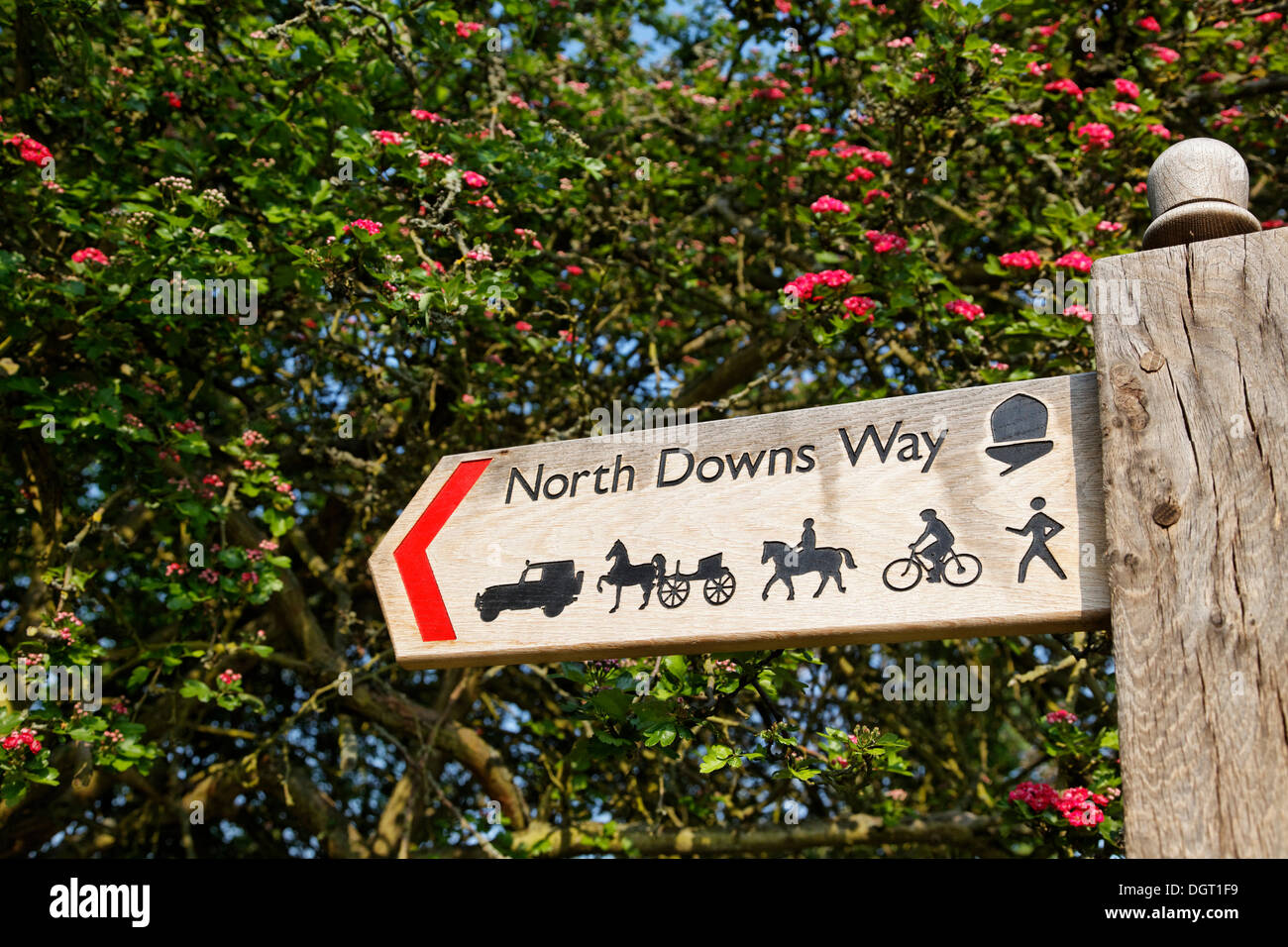 North Downs Way, début de la voie dans la ville, Via Francigena, Canterbury, Angleterre du Sud-Est, administratif comté de Kent Banque D'Images