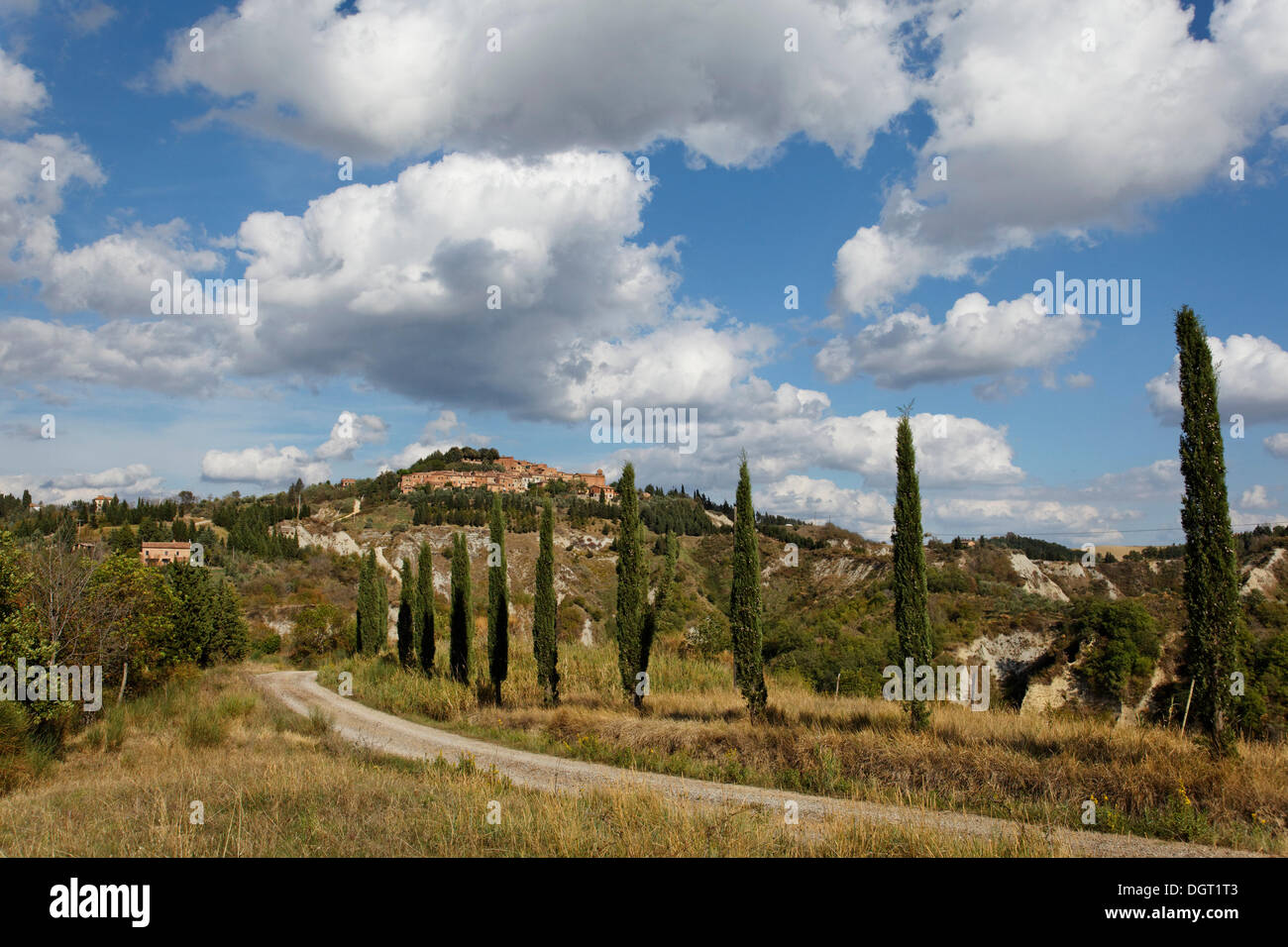 Crete Senesi, littéralement, argiles siennoise, formes de l'érosion des Calanques près de Buonconvento, Buonconvento, région de Toscane Banque D'Images