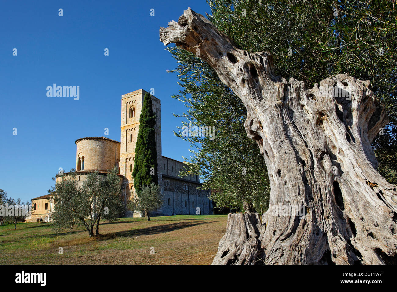 L'abbaye de Sant'Antimo, Castelnuovo del Abate, Montalcino, Toscane, province de Sienne, Italie, Europe Banque D'Images