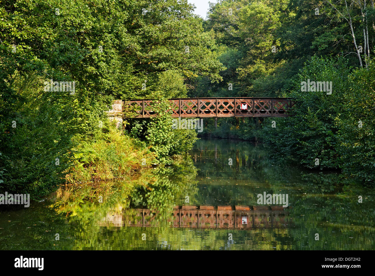 Forêt et un vieux pont en fer, Canal des Vosges, anciennement Canal de l'Est, Selles, Vesoul, Région Rhône-Alpes Banque D'Images