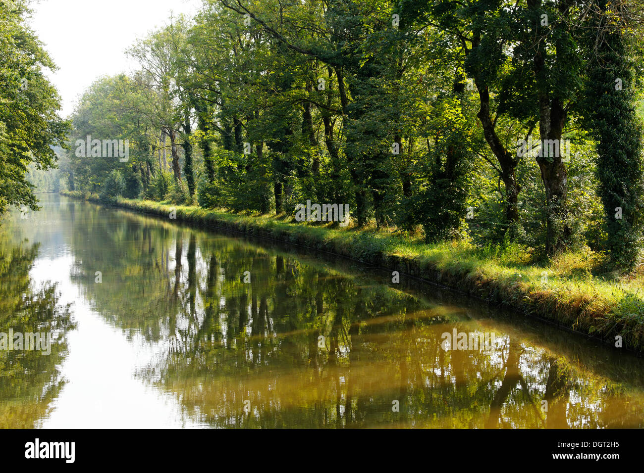 Canal des Vosges, anciennement Canal de l&# 39;Est, près de Pont-du-Bois, PK 136, Selles, Vesoul, Région Rhône-Alpes Banque D'Images