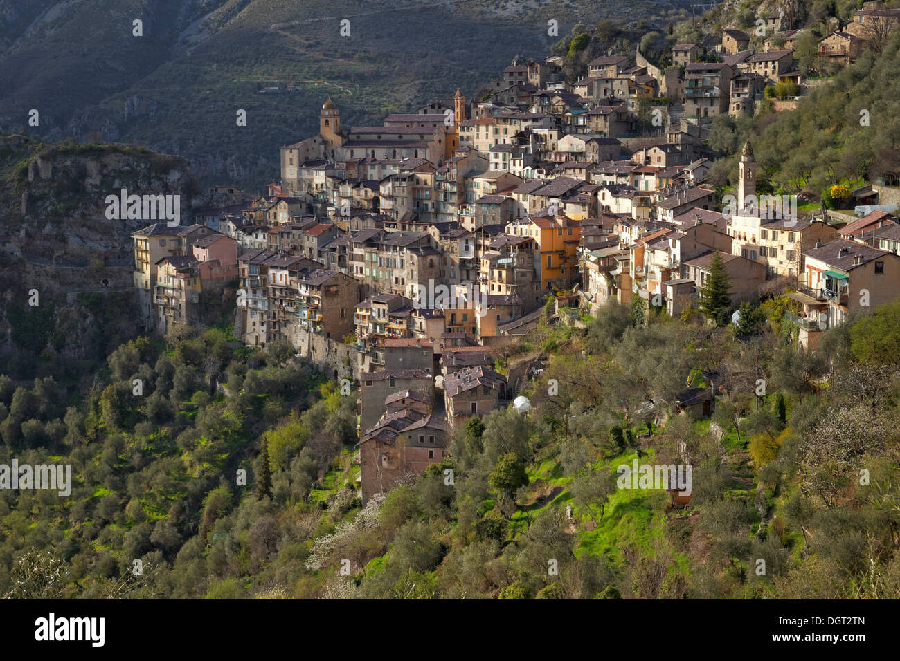 Village de montagne de Saorge haut au-dessus de la vallée de la Roya, Saorge, Département des Alpes-Maritimes, région Provence-Alpes-Côte Banque D'Images