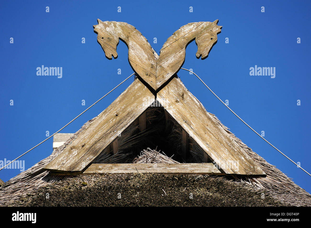 Les chevaux, les animaux héraldiques de Basse-Saxe, sur un pignon avec un hibou's nest contre un ciel bleu, Haferland Hôtel et restaurant Banque D'Images