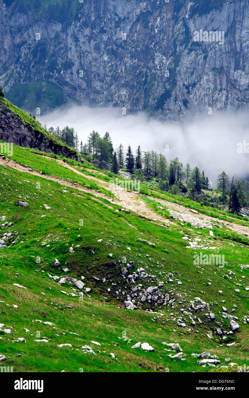 Zone de préservation de la Nature, Paysage à la montagne de Berg, Altaussee Loser, Bad Aussee, Ausseerland, Totes Gebirge, Salzkammergut Banque D'Images