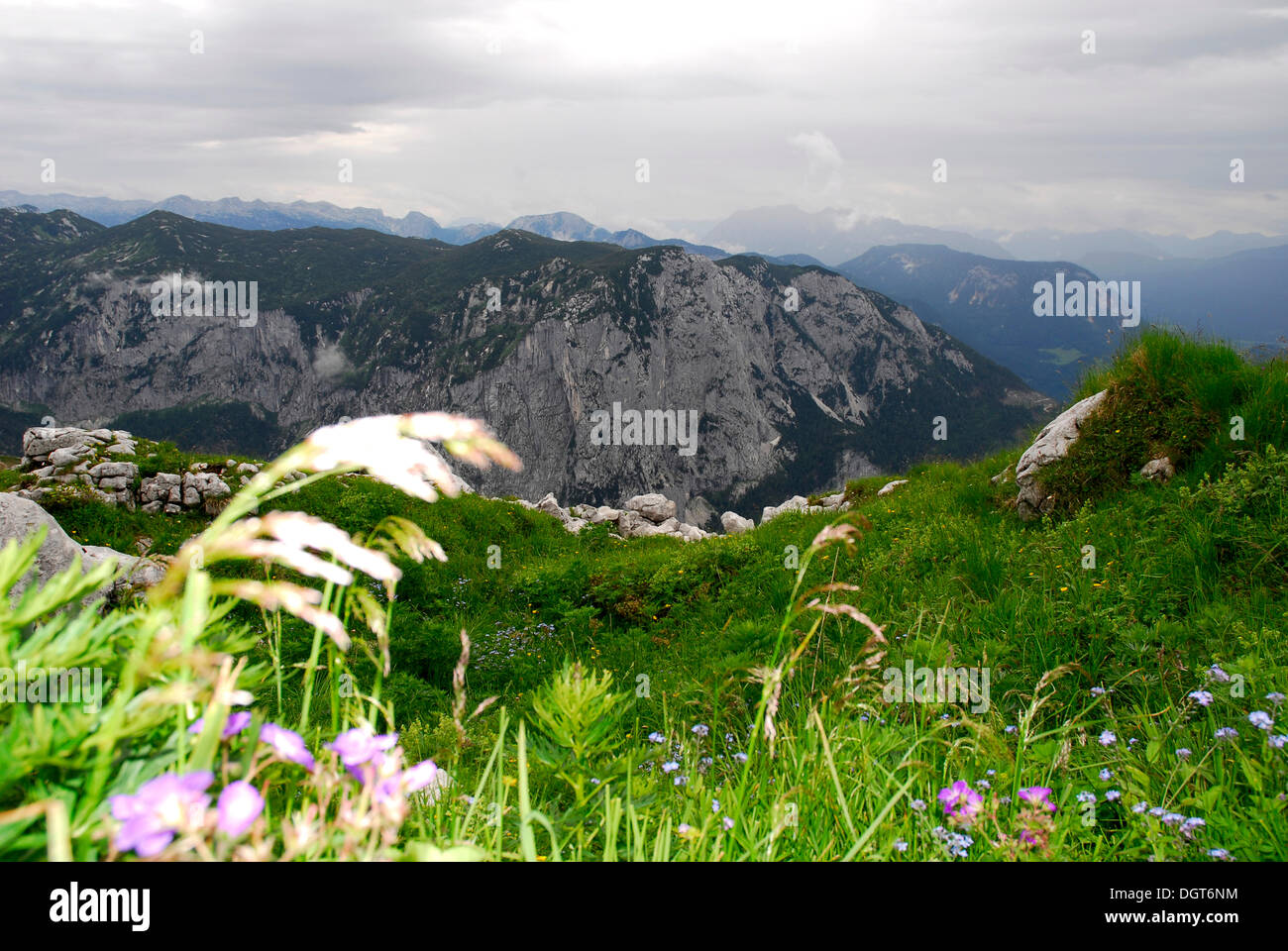 Zone de préservation de la Nature, Paysage à la montagne de Berg, Altaussee Loser, Bad Aussee, Ausseerland, Totes Gebirge, Salzkammergut Banque D'Images