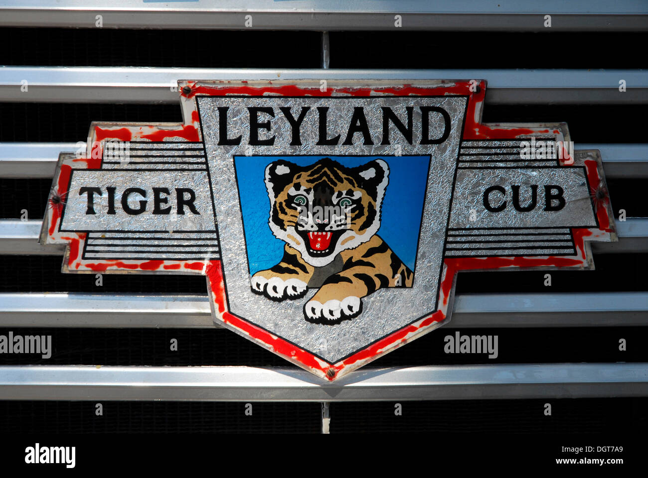 Détail, signe sur la grille de radiateur d'un vieux Leyland Bus, bus station, Victoria ou Rabat, île de Gozo, Malte, Méditerranée Banque D'Images