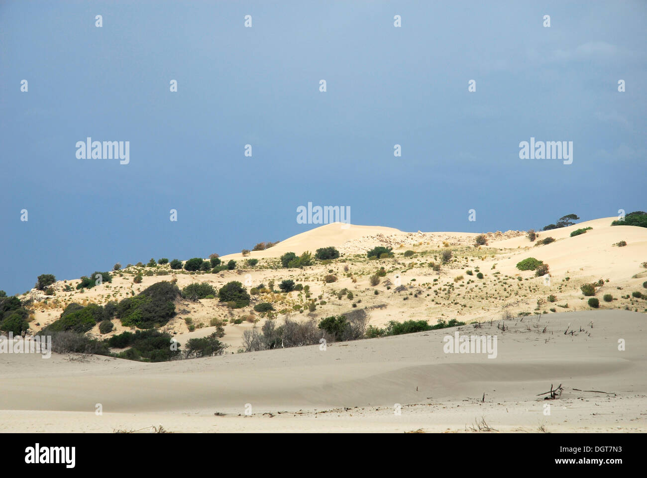 Dunes sur la plage de Patara, côte lycienne, Antalya Province, de la Méditerranée, de la Turquie, de l'Eurasie Banque D'Images