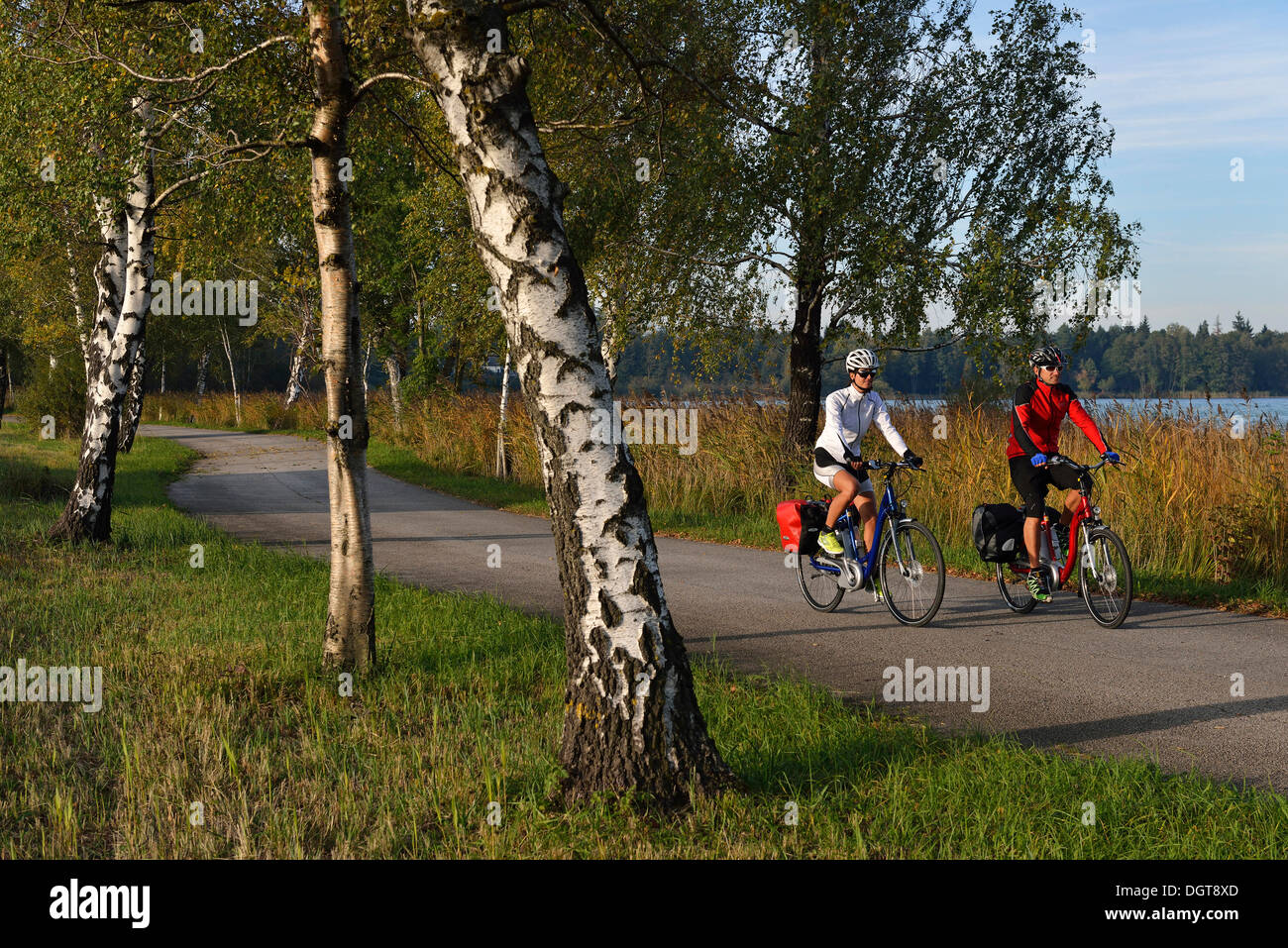 Les cyclistes des vélos électriques le long Bajuwaren équitation randonnée à vélo, Fraham, lac Pferdeschlitten, Lake District de Salzbourg, Salzbourg, Autriche Banque D'Images