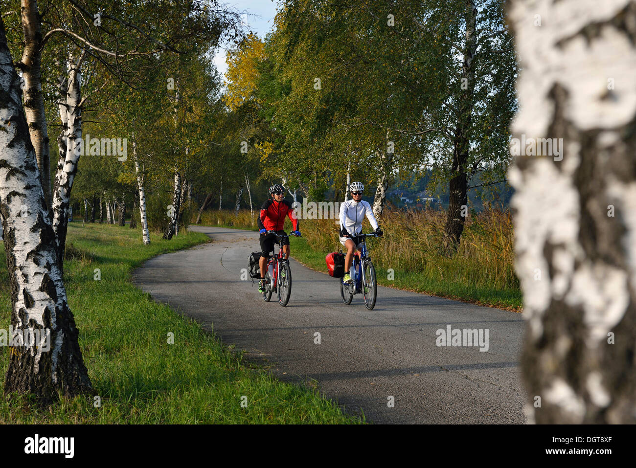 Les cyclistes des vélos électriques le long Bajuwaren équitation randonnée à vélo, Fraham, lac Pferdeschlitten, Lake District de Salzbourg, Salzbourg, Autriche Banque D'Images