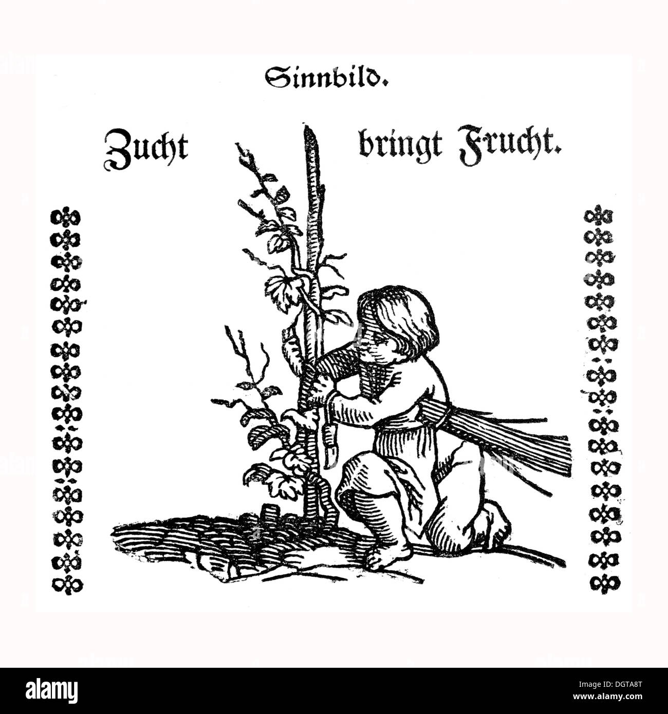 Représentation allégorique, 'Zucht bringt Frucht', l'élevage porte ses fruits, l'inscription en Deutsche Literaturgeschichte historique Banque D'Images