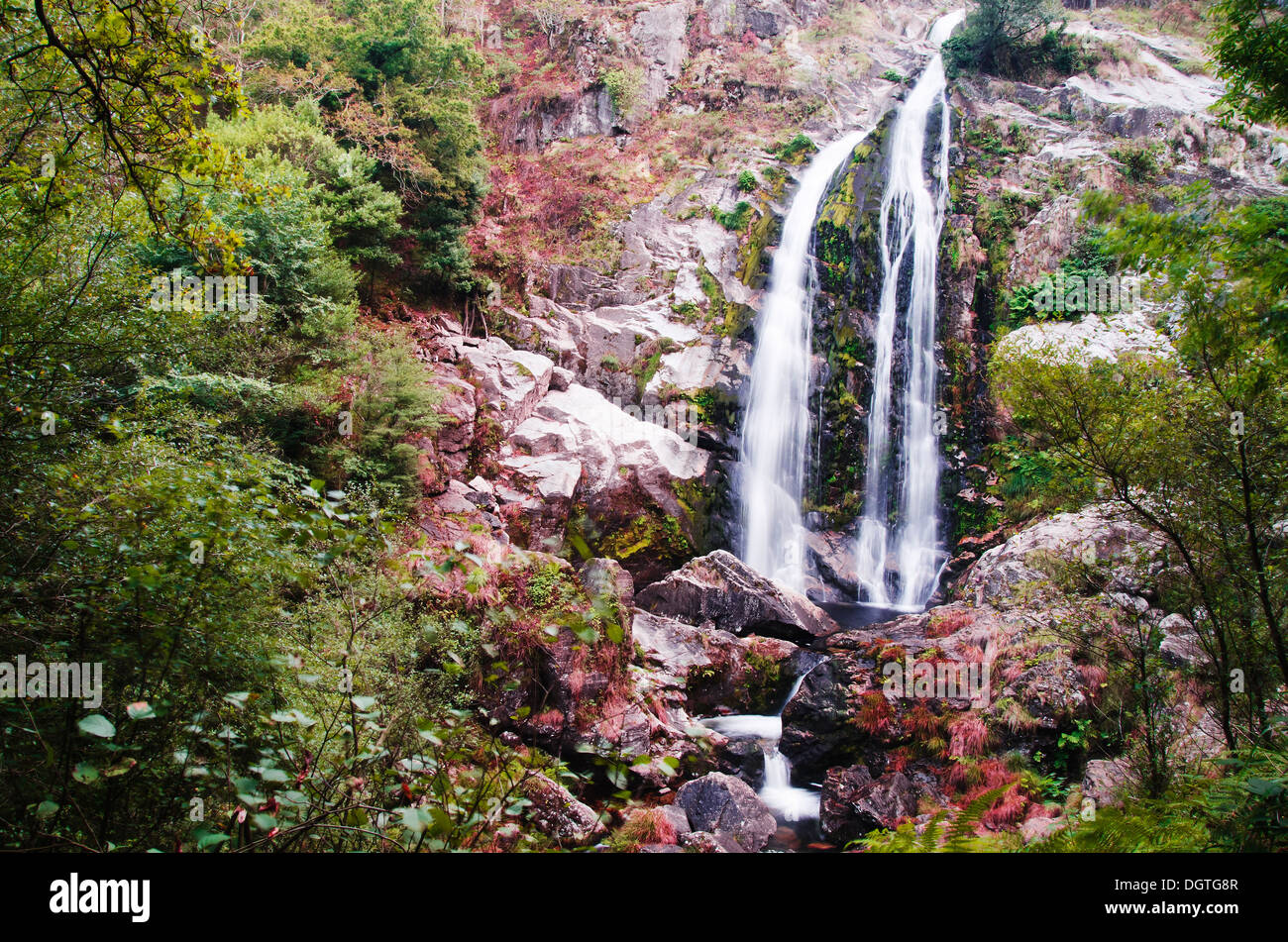 Torrent de l'eau dans la rivière qui descend de la montagne Banque D'Images