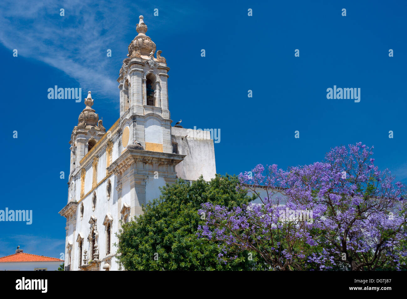 Le Portugal l'Algarve, Faro Do Carmo church et Jacaranda dans le Largo do Carmo Banque D'Images