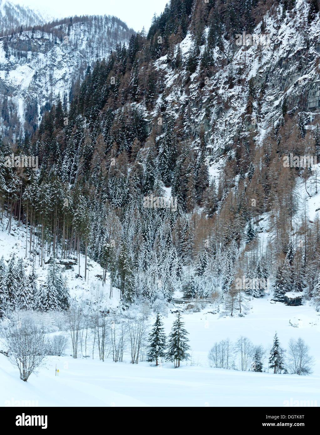 L'hiver sur la montagne avec la forêt sur pente rocheuse (Autriche) Banque D'Images