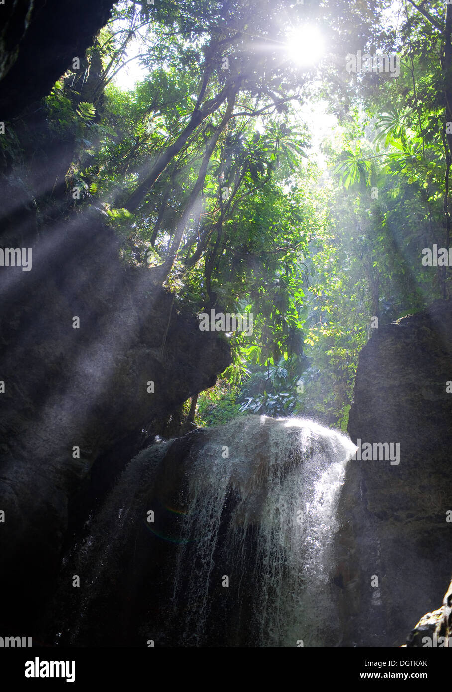 Les rayons du soleil dans une caverne avec des chutes. La Jamaïque Banque D'Images