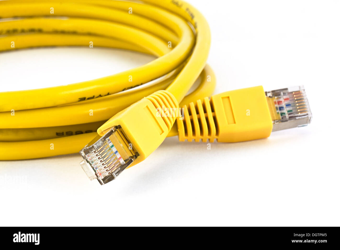 Câble Ethernet sur fond blanc Banque D'Images