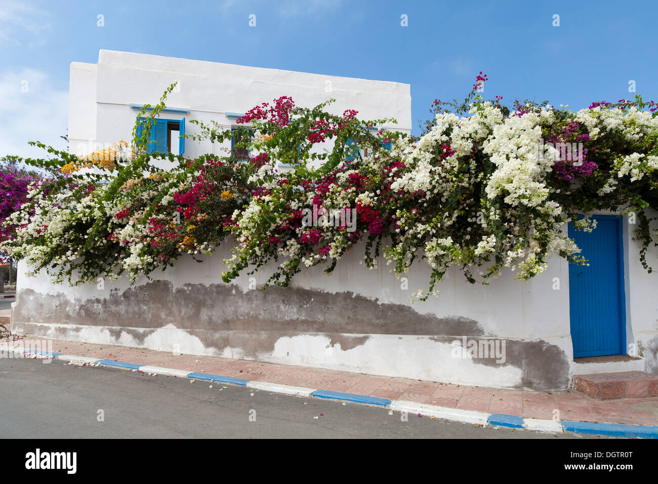 Murs de maison couverte de bougainvilliers, la Plaza de Espana à la ville de Sidi Ifni, côte atlantique du Maroc Banque D'Images