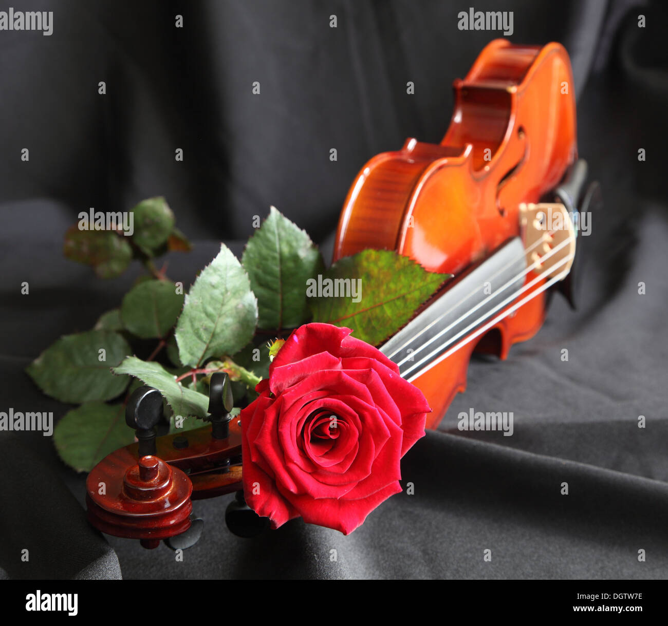 Le violon avec une rose rouge sur fond noir Banque D'Images