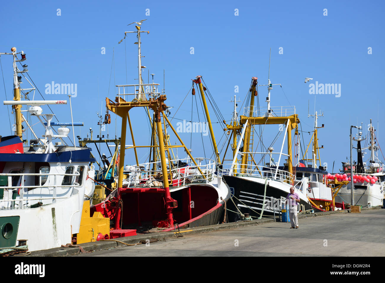 Bateaux de pêche dans le port de Newlyn, Newlyn, Cornwall, Angleterre, Royaume-Uni Banque D'Images