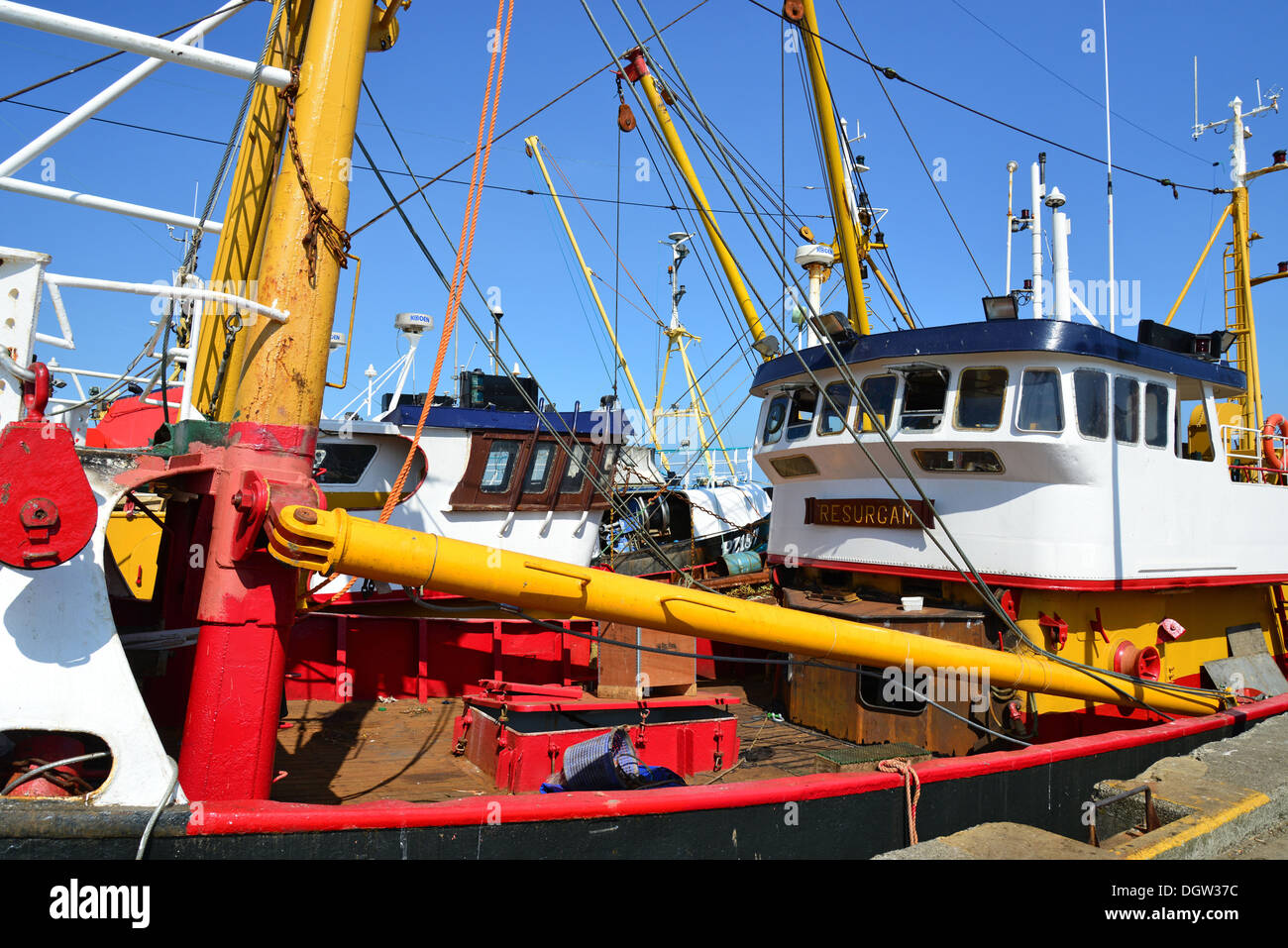 Bateaux de pêche dans le port de Newlyn, Newlyn, Cornwall, Angleterre, Royaume-Uni Banque D'Images