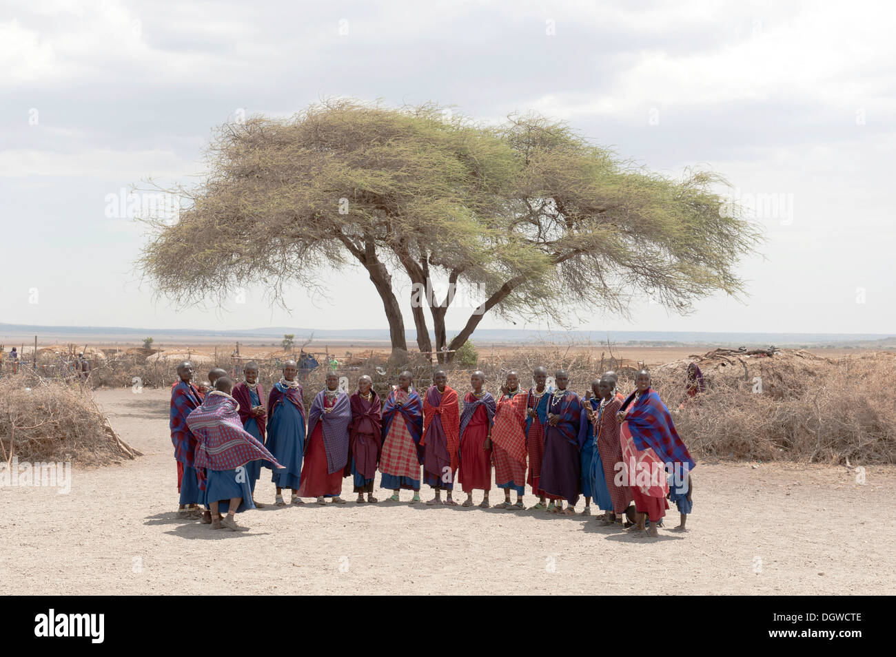 Groupe de femmes réunies sous un acacia, Masai, ethnologie, Kiloki village, Savannah, la Ngorongoro Conservation Area Banque D'Images