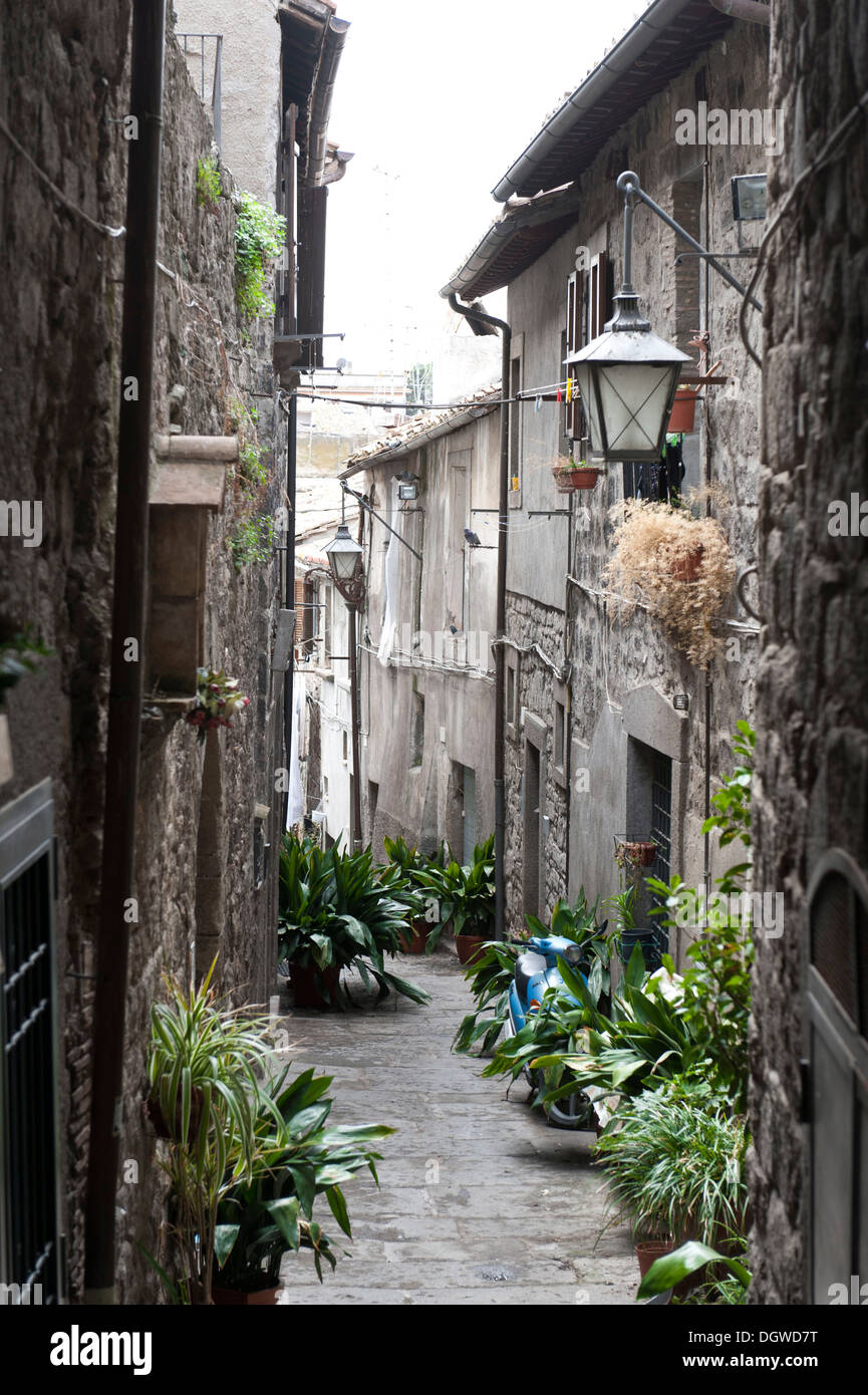 Ruelle étroite, vieille maisons sombres, quartier médiéval de San Pellegrino, Viterbe, Latium, Italie, Europe du Sud, Europe Banque D'Images