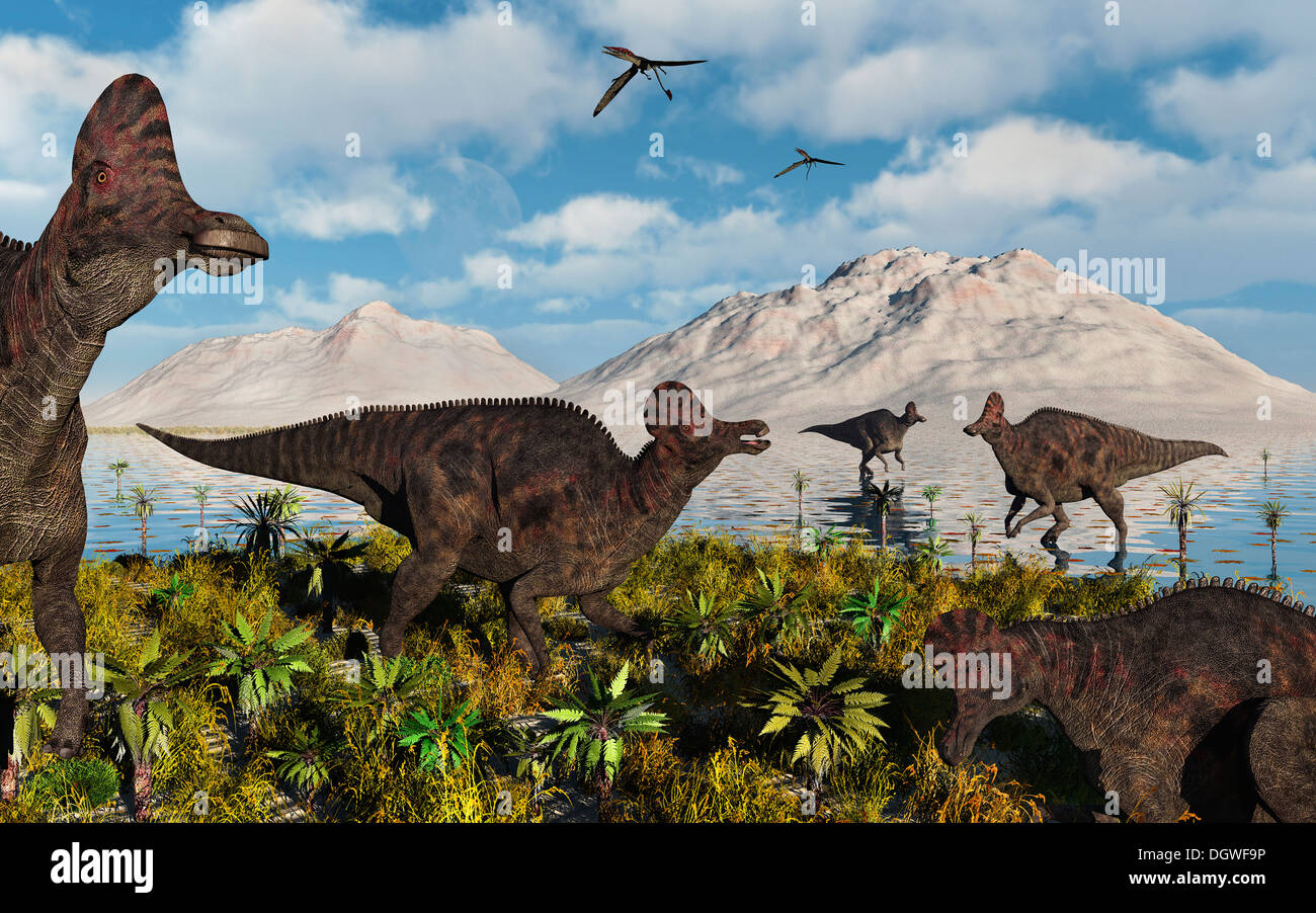 Un troupeau d'Corythosaur Bec de dinosaures. Banque D'Images